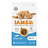 Iams Felnőtt Macska Óceáni Hal 3kg