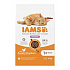Iams Cat Adult szőrgombóc csirke 10kg