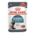 Royal Canin Feline Hairball Care zseb 85g
