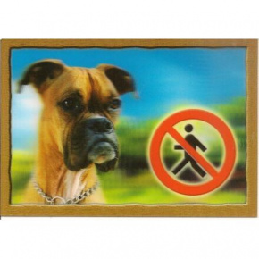 3D Tábla KUTYÁK, Boxer