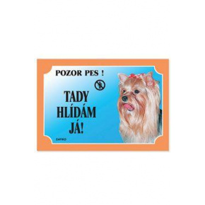 Asztalt nézek itt! Yorkshire Terrier 1db