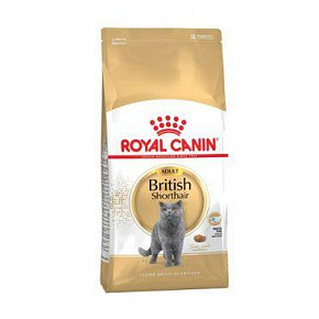 Royal Canin Breed Feline brit rövidszőrű 2kg Royal Canin Breed Feline brit rövidszőrű 2kg