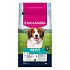 Eukanuba Dog Adult Small&Medium bárányban gazdag 3kg