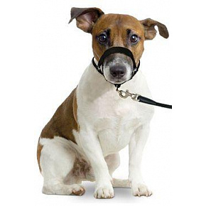 Húzásgátló Easy leader fekete M