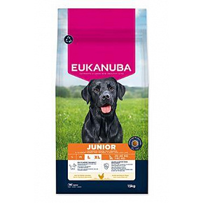 Eukanuba Dog Junior Large friss csirkében gazdag 15kg
