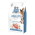 Brit Care Cat GF Nagymacskák Power&Vitality 2kg