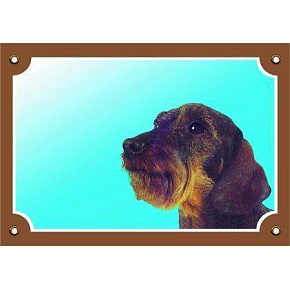 Színes jel Figyelem kutya, tacskó, durva szőrű Színes jel Figyelem kutya, tacskó, durva szőrű