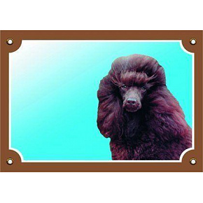 Színes jel Figyelem kutya, uszkár fekete Színes jel Figyelem kutya, uszkár fekete