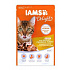 Iams Cat Adult Delights tasak Csirke&Pulyka. in gravy 85g