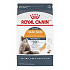 Royal Canin Feline szőr- és bőrápoló 2kg