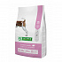 Natures P dog junior bárány minden fajta 2 kg