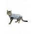 EasyGo Body Cat 38,5cm XS BUSTER