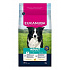 Eukanuba Dog Adult Medium friss csirkében gazdag 3kg