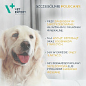 VET EXPERT Multivitamin - vitamínový a minerálny prípravok pre psy a mačky  30 cps.