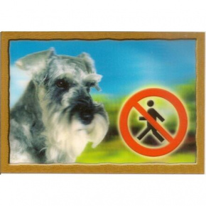 PSI 3D jel, Schnauzer bors és só