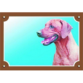 Színes jel Figyelem kutya, Rhodesian Ridgeback Színes jel Figyelem kutya, Rhodesian Ridgeback