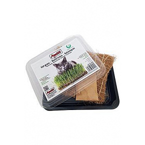 Apetit kočičí tráva, pěstební miska, kokos.rohož 30g