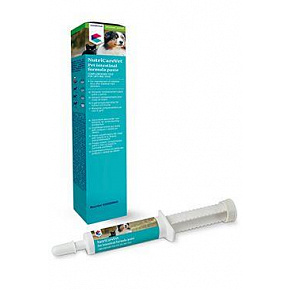 Pet Intestinal Formula Paszta 30ml CVET Pet Intestinal Formula Paszta 30ml CVET
