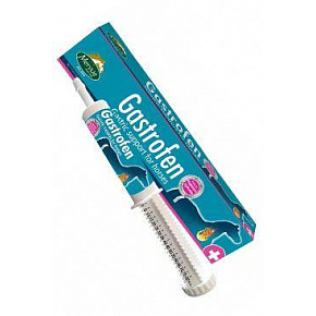 MERVUE GASTROFEN paszta 80ml