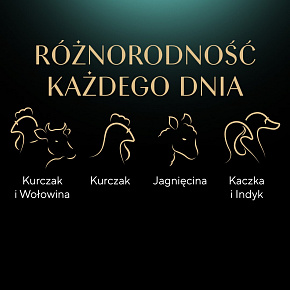 Sheba Selection in Sauce Šťavnaté příchutě 12 x 85 g