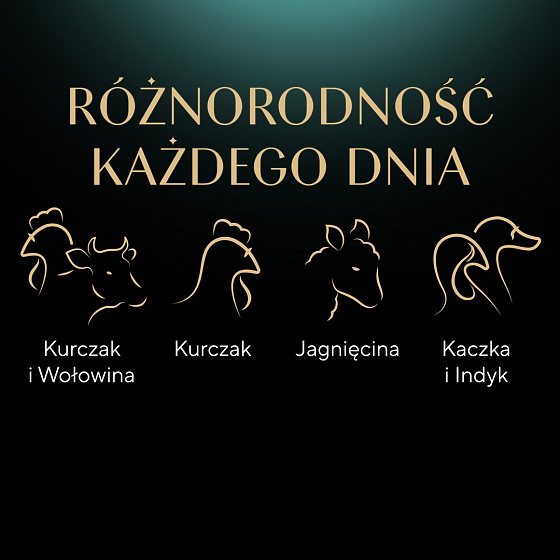 Sheba Selection in Sauce Šťavnaté příchutě 12 x 85 g