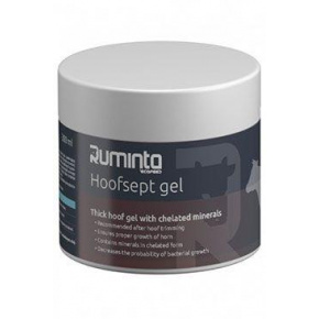Hoofsept gél 400g + ecset