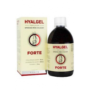 Hyalgel Forte ízületekre narancs 500ml