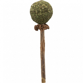 Harapós nyalóka MATATABI 11 cm természetes termék Harapós nyalóka MATATABI 11 cm természetes termék