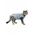 Öltöny EasyGo Body Cat 43,5cm S BUSTER