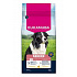 Eukanuba Dog Senior Medium friss csirkében gazdag 15kg