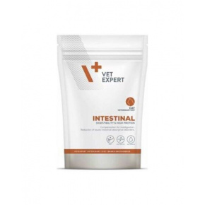 VetExpert VD macska 4T Intestinal 250 g