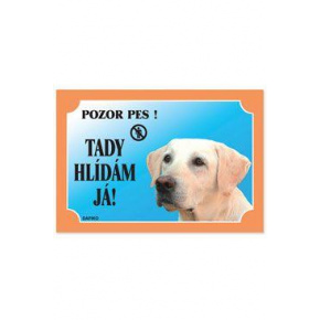 Asztalt nézek itt! Labrador retriever könnyű 1db