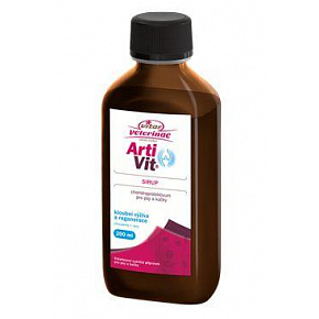 VITAR ArtiVit Szirup 200ml