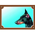 Színes jelzés Figyelem kutya, dobermann